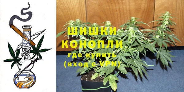 кокс Козельск